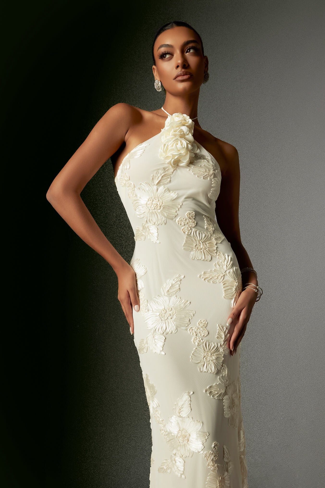 Embroidery Appliques Dress - Laine